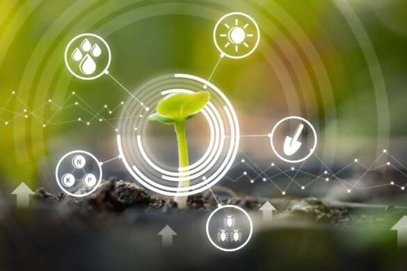 Innovations in agriculture with emerging technologies like augmented reality