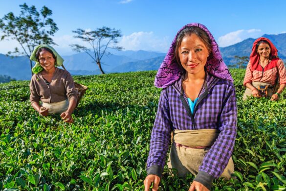 ‘Land for Women’ Initiatives are Important for Socio-Economic Development in India