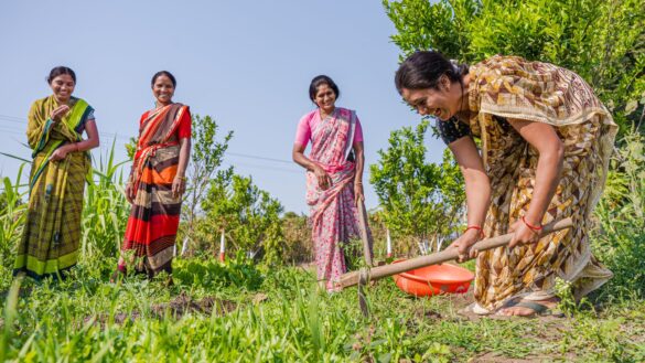 What is Natural Farming and Why India is Promoting It