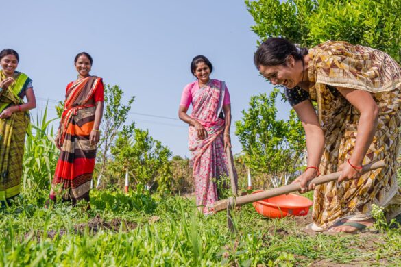 What is Natural Farming and Why India is Promoting It